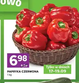 Stokrotka Papryka czerwona oferta