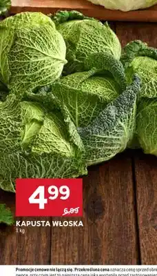 Stokrotka Kapusta włoska oferta