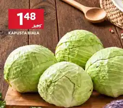 Stokrotka Kapusta biała oferta