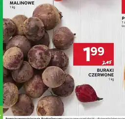 Stokrotka Buraki czerwone oferta