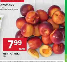 Stokrotka Nektarynki oferta