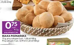 Stokrotka Bułka poznańska oferta