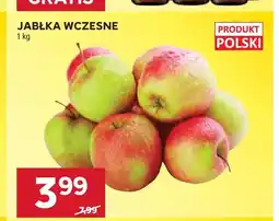 Stokrotka Jabłka wczesne oferta
