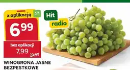 Stokrotka Winogrona jasne bezpestkowe oferta