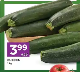 Stokrotka Cukinia oferta