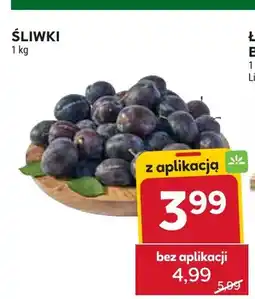 Stokrotka Śliwki oferta