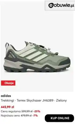eobuwie Trekkingi Terrex Skychaser JH6389 Zielony adidas oferta