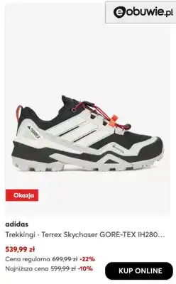 eobuwie Trekkingi Terrex Skychaser GORE-TEX IH280 Adidas oferta