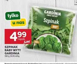 Stokrotka Szpinak baby myty Gardinia oferta