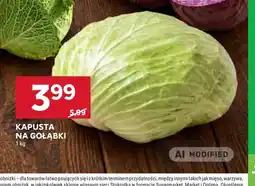 Stokrotka Kapusta na gołąbki oferta