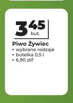 Odido Piwo ŷywiec oferta