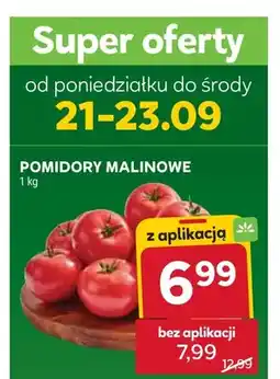 Stokrotka Pomidory malinowe oferta