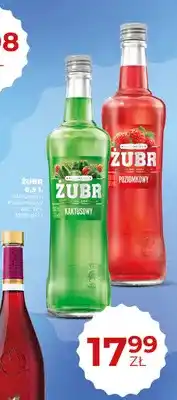 Duży Ben Żubr kaktusowy oferta