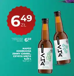 Duży Ben Napój Kombucha zimny chmiel oferta