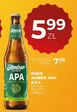 Duży Ben Piwo Amber APA oferta