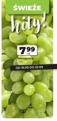 Odido Winogrona oferta