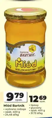 Odido Miód lipowy Sądecki Bartnik oferta