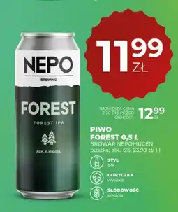 Duży Ben Piwo Forest Browar Nepomucen oferta