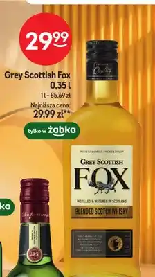 Żabka Whisky Grey Scottish Fox oferta