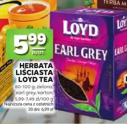 Stokrotka Herbata liściasta Loyd Tea zielona oferta
