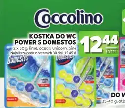 Stokrotka Kostka do WC Power 5 Domestos lime 2-pak oferta