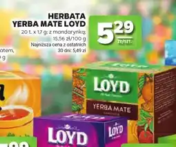 Stokrotka Herbata Yerba Mate Loyd z mandarynką oferta