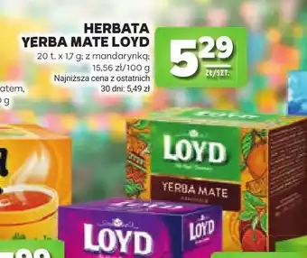 Herbata Yerba Mate Loyd z mandarynką