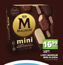 Stokrotka Lody Magnum Mini Algida 6-pak oferta
