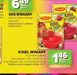 Stokrotka Kisiel Winiary oferta