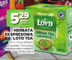 Stokrotka Herbata ekspresowa Loyd Tea zielona oferta