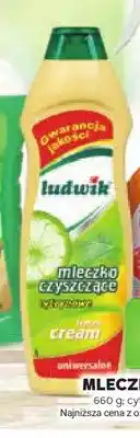 Stokrotka Mleczko Ludwik cytrynowe oferta