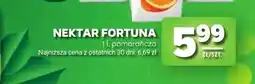 Stokrotka Nektar Fortuna pomarańcza oferta