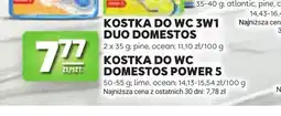 Stokrotka Kostka do WC 3w1 Duo Domestos pine 2-pak oferta
