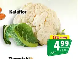 Prim Market Kalafior oferta