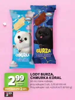 Stokrotka Lody Burza oferta