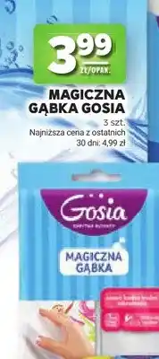 Stokrotka Magiczna gąbka Gosia oferta