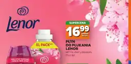 Stokrotka Płyn do płukania Lenor cherry blossom oferta