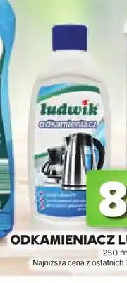 Stokrotka Odkamieniacz Ludwik oferta