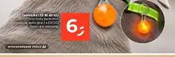Dealz Zawieszka LED do obroży oferta