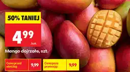 Biedronka Mango dojrzałe, szt oferta