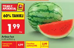 Biedronka Arbuz luz oferta