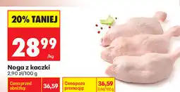 Biedronka Noga z kaczki oferta