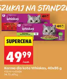 Biedronka Karma dla kota Whiskas oferta