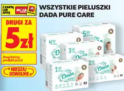 Biedronka Wszystkie pieluszki Dada Pure Care oferta
