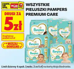 Biedronka Wszystkie pieluszki Pampers Premium Care oferta