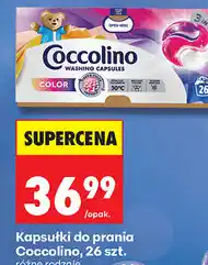 Biedronka Kapsułki do prania Coccolino oferta