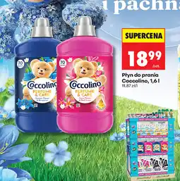 Biedronka Płyn do płukania Coccolino oferta