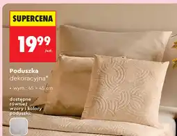Biedronka Poduszka dekoracyjna oferta