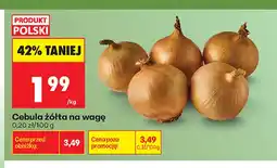 Biedronka Cebula żółta oferta