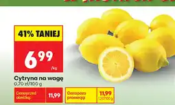Biedronka Cytryny na wagę oferta